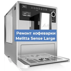Декальцинация   кофемашины Melitta Sense Large в Красноярске